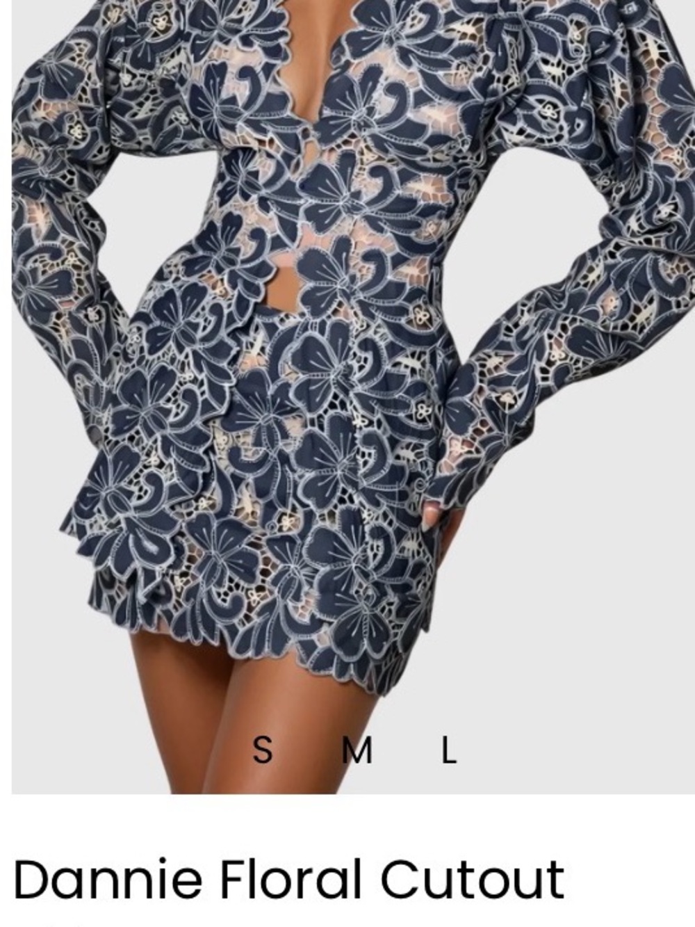 Dannie Floral Cutout Mini Dress — Navy Lace